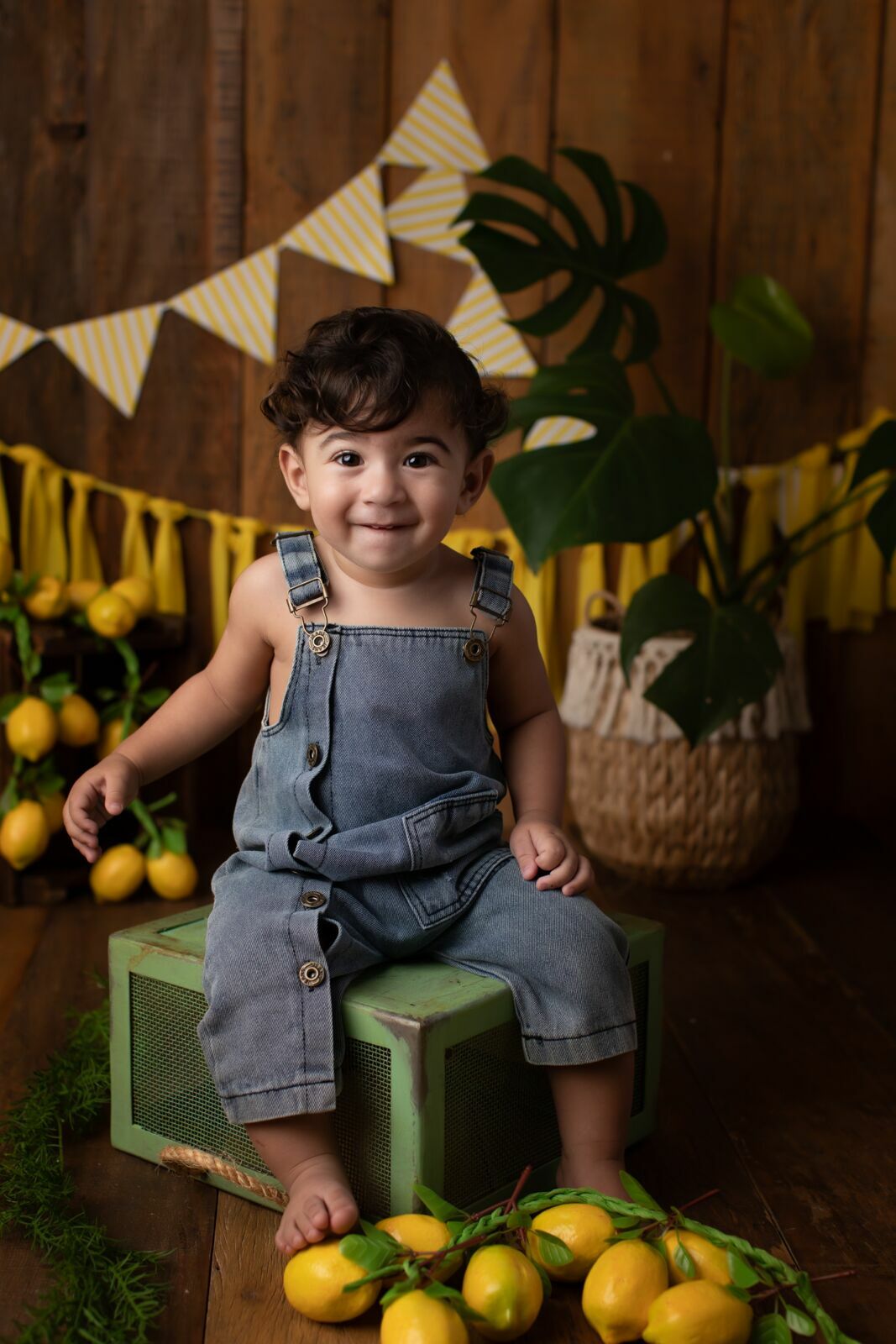 Foto O que é o acompanhamento do bebê? - Imagem 2